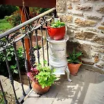 Casa Doro
