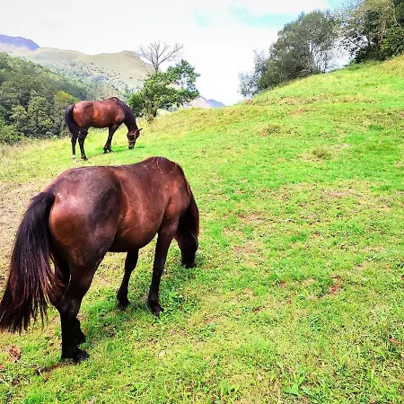 Casa de Férias Casa Doro Pandavenes