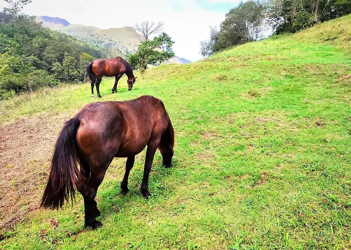 Tatil Evi Casa Doro Pandavenes